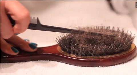 Débarrasser la brosse des cheveux morts emprisonnés dans ses picots à l'aide du manche fin d'un peigne à queue